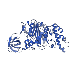 9391_6njp_C_v1-1
Structure of the assembled ATPase EscN in complex with its central stalk EscO from the enteropathogenic E. coli (EPEC) type III secretion system