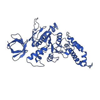 9391_6njp_D_v1-1
Structure of the assembled ATPase EscN in complex with its central stalk EscO from the enteropathogenic E. coli (EPEC) type III secretion system