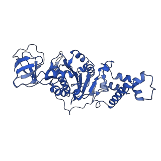 9391_6njp_E_v1-1
Structure of the assembled ATPase EscN in complex with its central stalk EscO from the enteropathogenic E. coli (EPEC) type III secretion system