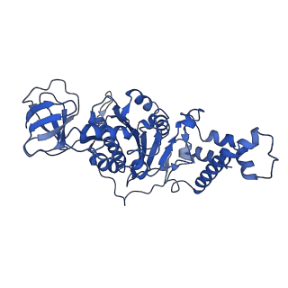 9391_6njp_E_v1-2
Structure of the assembled ATPase EscN in complex with its central stalk EscO from the enteropathogenic E. coli (EPEC) type III secretion system