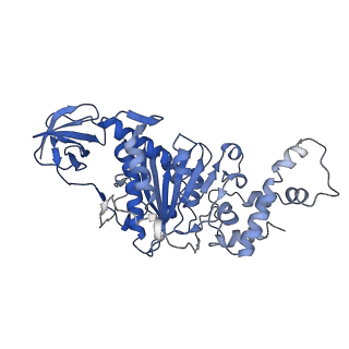 9391_6njp_F_v1-1
Structure of the assembled ATPase EscN in complex with its central stalk EscO from the enteropathogenic E. coli (EPEC) type III secretion system