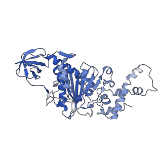 9391_6njp_F_v1-2
Structure of the assembled ATPase EscN in complex with its central stalk EscO from the enteropathogenic E. coli (EPEC) type III secretion system