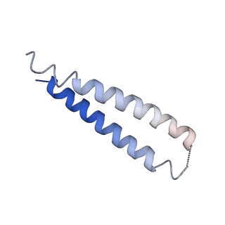 9391_6njp_G_v1-2
Structure of the assembled ATPase EscN in complex with its central stalk EscO from the enteropathogenic E. coli (EPEC) type III secretion system