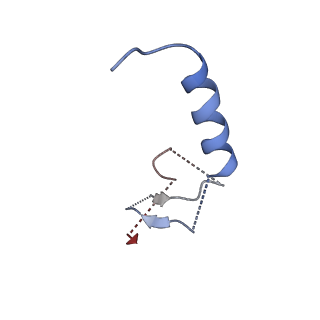 12406_7nkl_B_v1-1
Mycobacterium smegmatis ATP synthase b-delta state 2