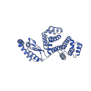 12406_7nkl_d_v1-1
Mycobacterium smegmatis ATP synthase b-delta state 2