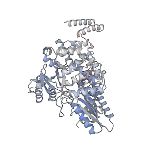 12429_7nk2_B_v1-1
1918 H1N1 Viral influenza polymerase heterotrimer with Nb8202 core