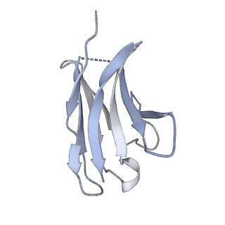 12429_7nk2_F_v1-1
1918 H1N1 Viral influenza polymerase heterotrimer with Nb8202 core
