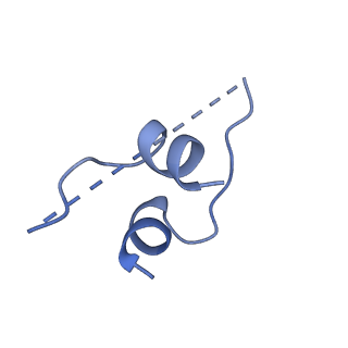 12434_7nk9_G_v1-1
Mycobacterium smegmatis ATP synthase Fo domain state 1