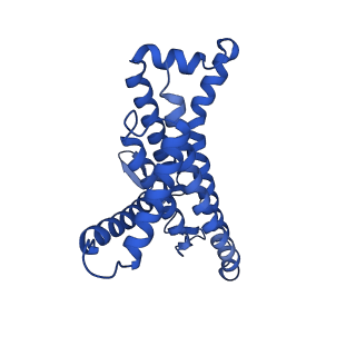 12434_7nk9_a_v1-1
Mycobacterium smegmatis ATP synthase Fo domain state 1