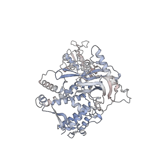 12435_7nka_A_v1-1
1918 H1N1 Viral influenza polymerase heterotrimer with Nb8206