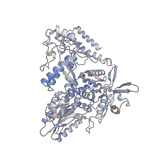 12435_7nka_B_v1-1
1918 H1N1 Viral influenza polymerase heterotrimer with Nb8206