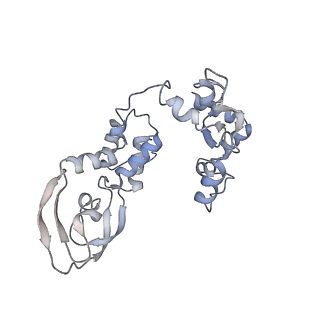 12435_7nka_C_v1-1
1918 H1N1 Viral influenza polymerase heterotrimer with Nb8206