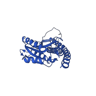 12436_7nkb_G_v1-1
Mycobacterium smegmatis ATP synthase rotor state 1