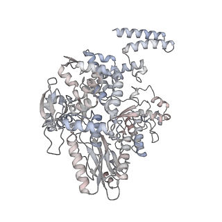12437_7nkc_B_v1-1
1918 H1N1 Viral influenza polymerase heterotrimer with Nb8207