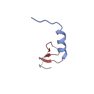 12438_7nkd_B_v1-1
Mycobacterium smegmatis ATP synthase b-delta state 1