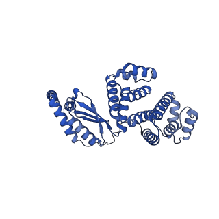 12438_7nkd_d_v1-1
Mycobacterium smegmatis ATP synthase b-delta state 1