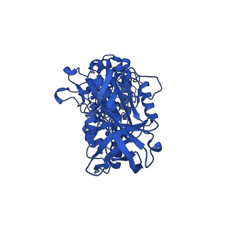 12439_7nkh_A_v1-1
Mycobacterium smegmatis ATP synthase F1 state 2