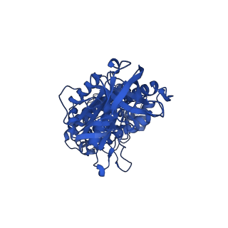 12439_7nkh_B_v1-1
Mycobacterium smegmatis ATP synthase F1 state 2