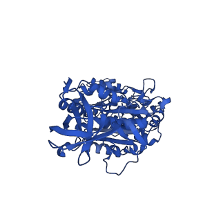 12439_7nkh_C_v1-1
Mycobacterium smegmatis ATP synthase F1 state 2