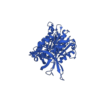 12439_7nkh_D_v1-1
Mycobacterium smegmatis ATP synthase F1 state 2