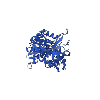 12439_7nkh_E_v1-1
Mycobacterium smegmatis ATP synthase F1 state 2