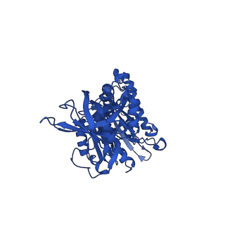 12439_7nkh_F_v1-1
Mycobacterium smegmatis ATP synthase F1 state 2