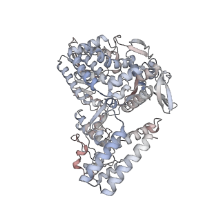 12440_7nki_B_v1-1
1918 H1N1 Viral influenza polymerase heterotrimer with Nb8209 core