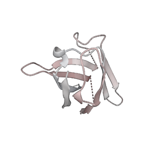12440_7nki_F_v1-1
1918 H1N1 Viral influenza polymerase heterotrimer with Nb8209 core