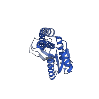 12442_7nkk_G_v1-1
Mycobacterium smegmatis ATP synthase rotor state 2