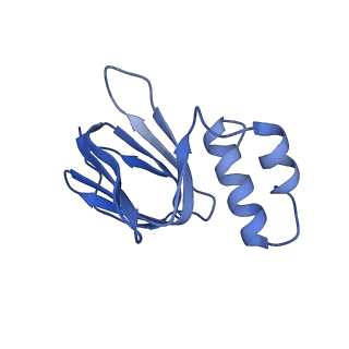 12442_7nkk_H_v1-1
Mycobacterium smegmatis ATP synthase rotor state 2