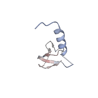 12446_7nkq_B_v1-1
Mycobacterium smegmatis ATP synthase b-delta state 3