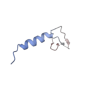 12446_7nkq_C_v1-1
Mycobacterium smegmatis ATP synthase b-delta state 3
