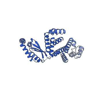 12446_7nkq_d_v1-1
Mycobacterium smegmatis ATP synthase b-delta state 3
