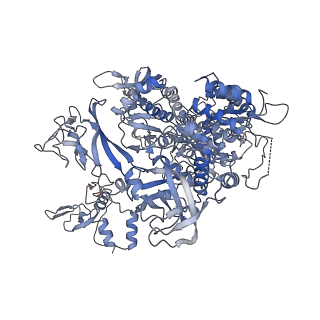 12450_7nky_B_v1-0
RNA Polymerase II-Spt4/5-nucleosome-FACT structure