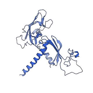 12450_7nky_C_v1-0
RNA Polymerase II-Spt4/5-nucleosome-FACT structure