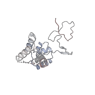 12450_7nky_D_v1-0
RNA Polymerase II-Spt4/5-nucleosome-FACT structure