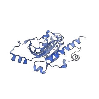 12450_7nky_E_v1-0
RNA Polymerase II-Spt4/5-nucleosome-FACT structure