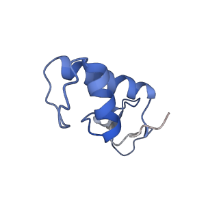 12450_7nky_F_v1-0
RNA Polymerase II-Spt4/5-nucleosome-FACT structure