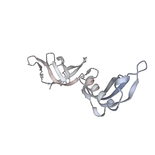 12450_7nky_G_v1-0
RNA Polymerase II-Spt4/5-nucleosome-FACT structure