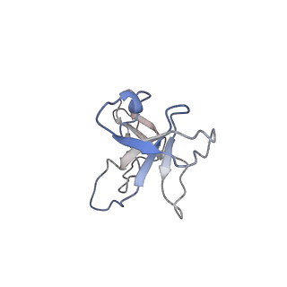 12450_7nky_I_v1-0
RNA Polymerase II-Spt4/5-nucleosome-FACT structure