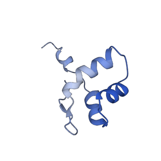 12450_7nky_J_v1-0
RNA Polymerase II-Spt4/5-nucleosome-FACT structure