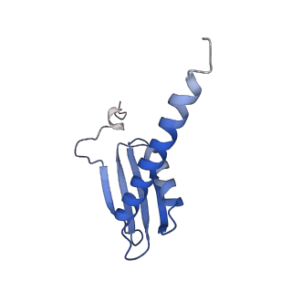 12450_7nky_K_v1-0
RNA Polymerase II-Spt4/5-nucleosome-FACT structure