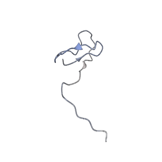 12450_7nky_L_v1-0
RNA Polymerase II-Spt4/5-nucleosome-FACT structure