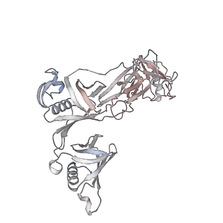 12450_7nky_O_v1-0
RNA Polymerase II-Spt4/5-nucleosome-FACT structure