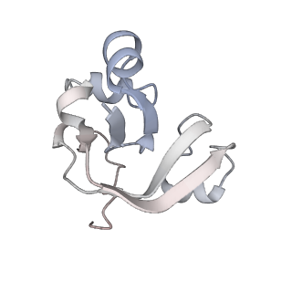 12450_7nky_Y_v1-0
RNA Polymerase II-Spt4/5-nucleosome-FACT structure