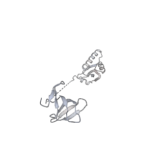 12450_7nky_Z_v1-0
RNA Polymerase II-Spt4/5-nucleosome-FACT structure