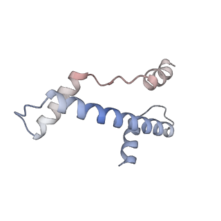 12450_7nky_a_v1-0
RNA Polymerase II-Spt4/5-nucleosome-FACT structure