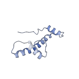 12450_7nky_b_v1-0
RNA Polymerase II-Spt4/5-nucleosome-FACT structure