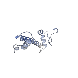 12450_7nky_c_v1-0
RNA Polymerase II-Spt4/5-nucleosome-FACT structure