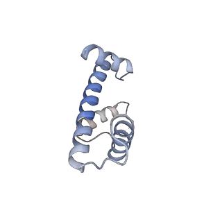 12450_7nky_e_v1-0
RNA Polymerase II-Spt4/5-nucleosome-FACT structure